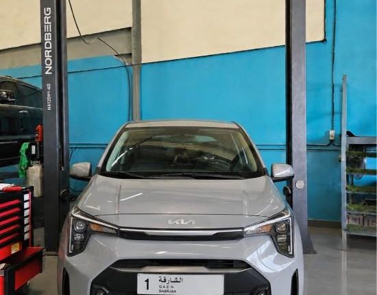 KIA1 (1)