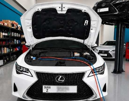 Lexus (5)