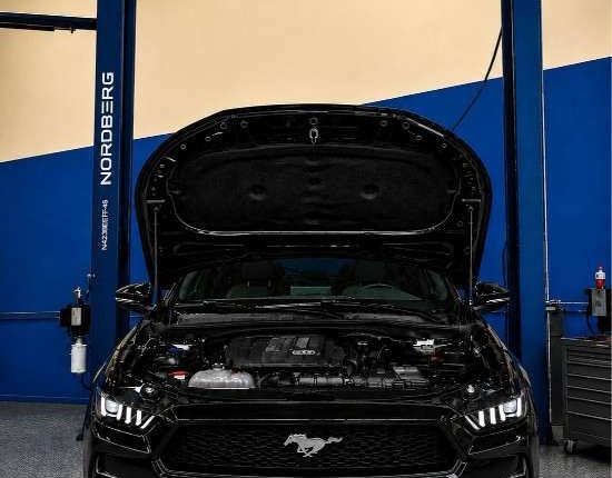Mustang -50kb (4)